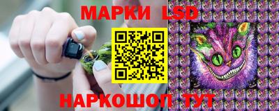 прущие крисы Будённовск