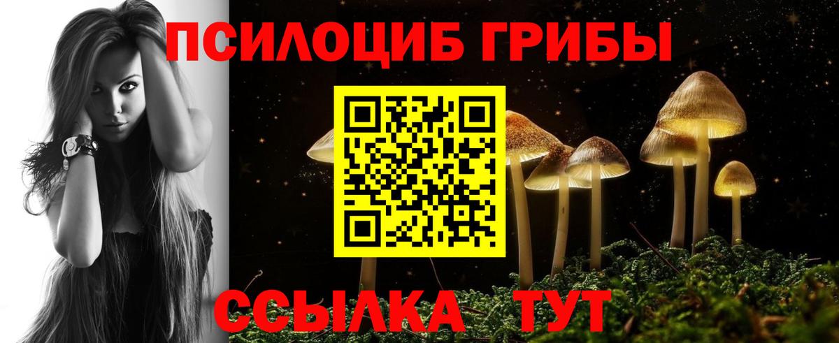 Псилоцибиновые грибы мицелий Салехард